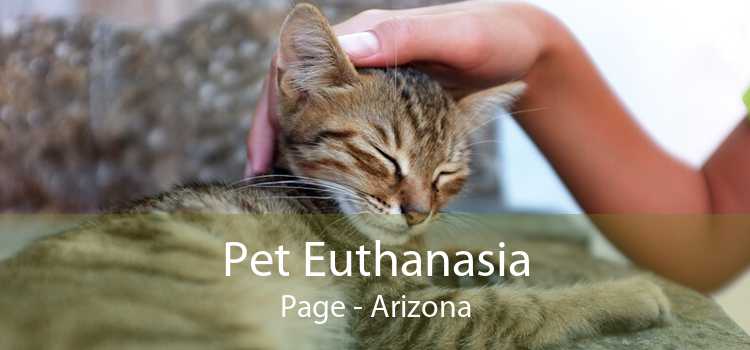 Pet Euthanasia Page - Arizona