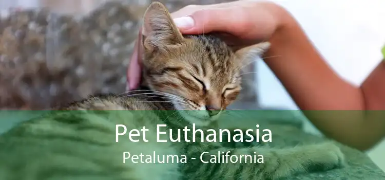 Pet Euthanasia Petaluma - California
