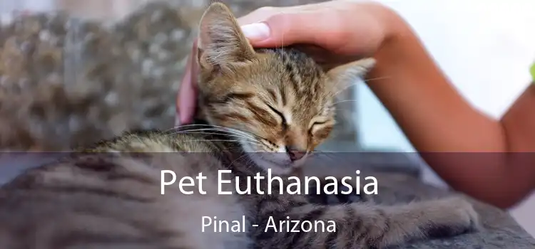 Pet Euthanasia Pinal - Arizona