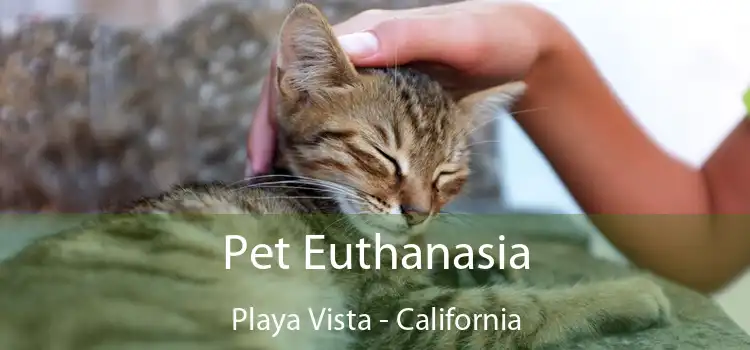 Pet Euthanasia Playa Vista - California