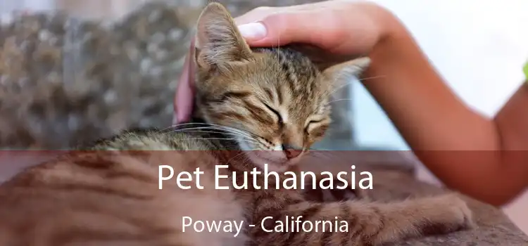 Pet Euthanasia Poway - California