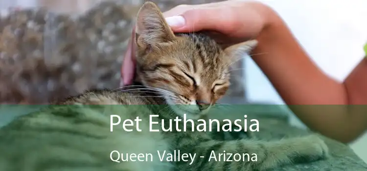 Pet Euthanasia Queen Valley - Arizona