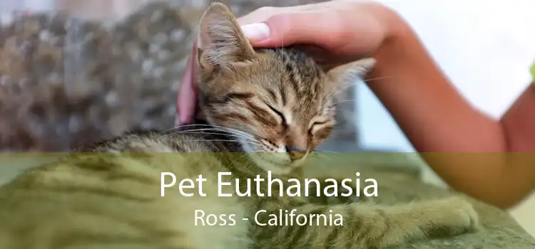 Pet Euthanasia Ross - California