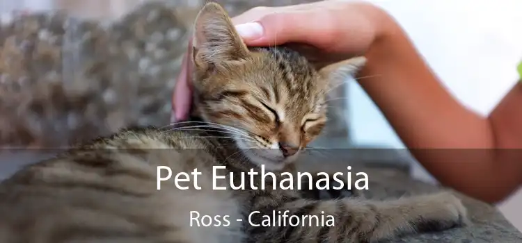 Pet Euthanasia Ross - California