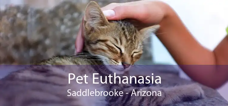 Pet Euthanasia Saddlebrooke - Arizona