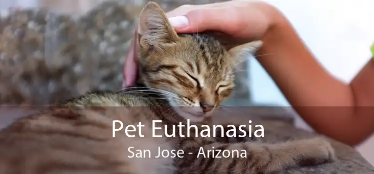 Pet Euthanasia San Jose - Arizona