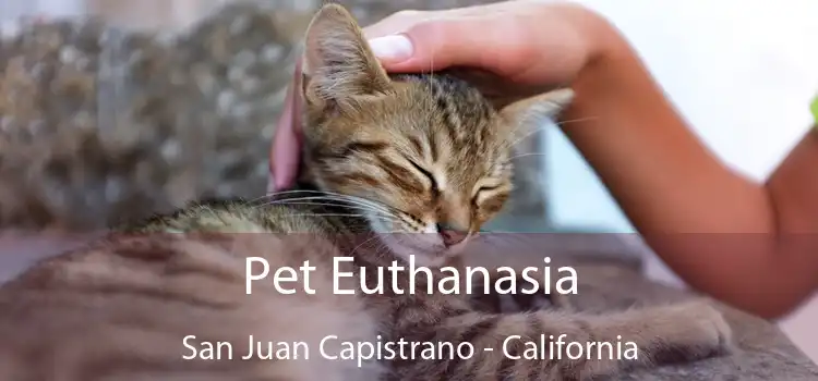 Pet Euthanasia San Juan Capistrano - California