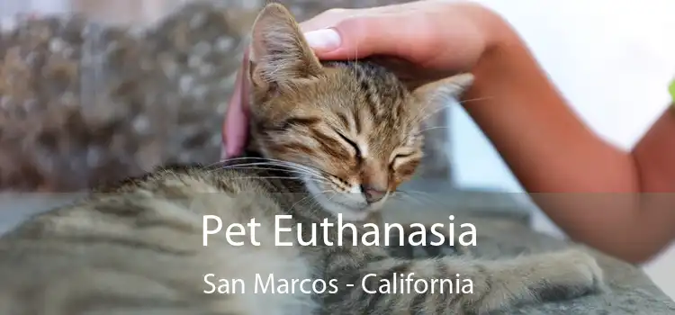 Pet Euthanasia San Marcos - California