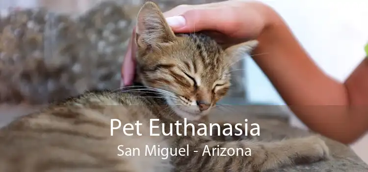 Pet Euthanasia San Miguel - Arizona