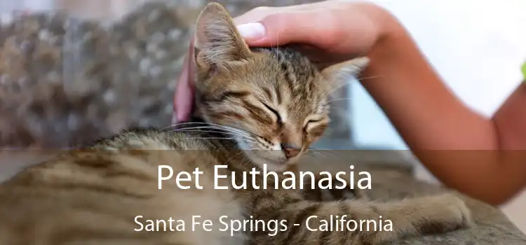 Pet Euthanasia Santa Fe Springs - California