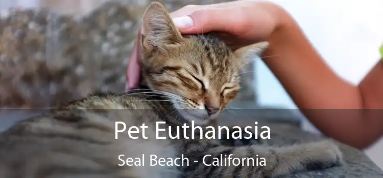 Pet Euthanasia Seal Beach - California