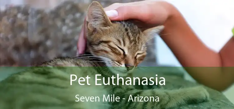 Pet Euthanasia Seven Mile - Arizona