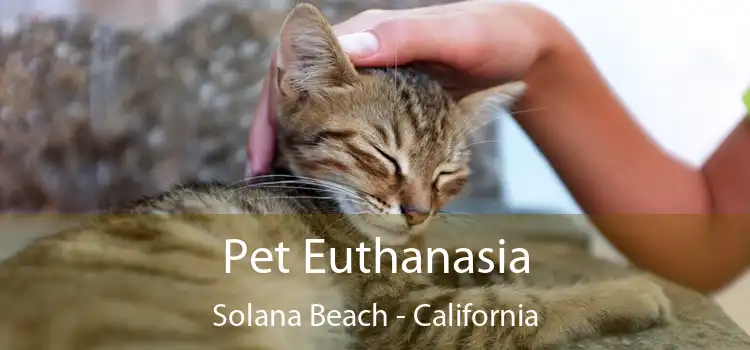 Pet Euthanasia Solana Beach - California