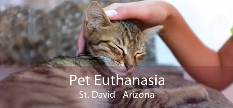 Pet Euthanasia St. David - Arizona