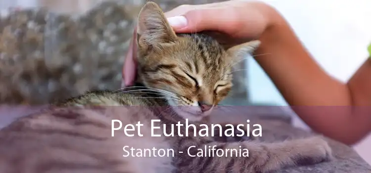 Pet Euthanasia Stanton - California