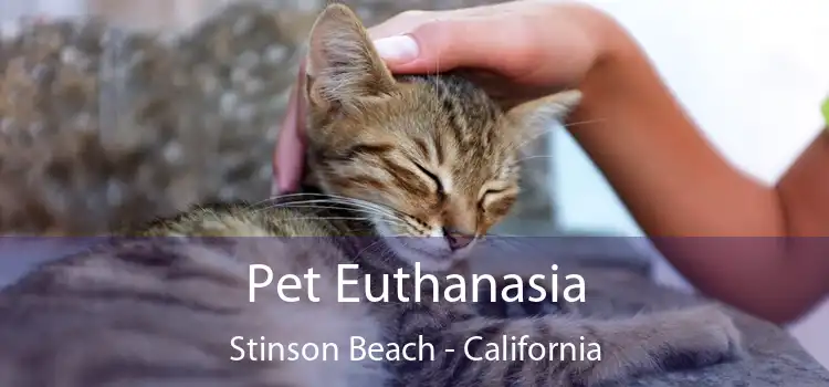 Pet Euthanasia Stinson Beach - California