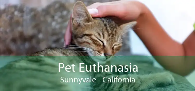 Pet Euthanasia Sunnyvale - California
