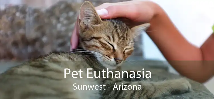 Pet Euthanasia Sunwest - Arizona