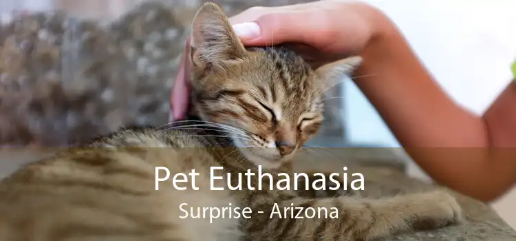 Pet Euthanasia Surprise - Arizona