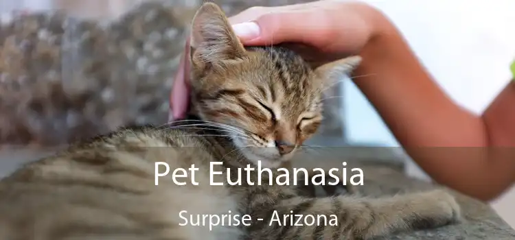 Pet Euthanasia Surprise - Arizona