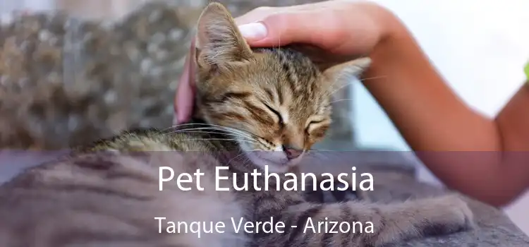 Pet Euthanasia Tanque Verde - Arizona