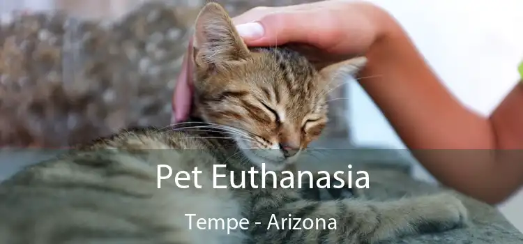 Pet Euthanasia Tempe - Arizona