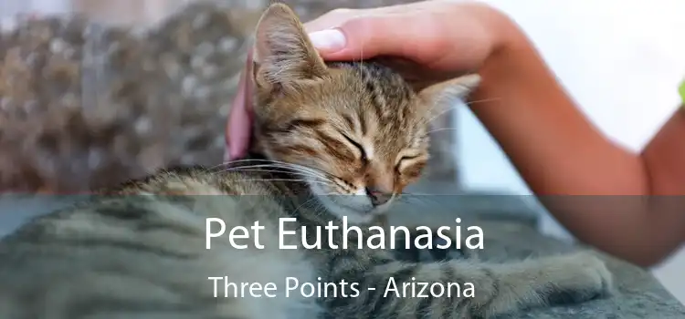 Pet Euthanasia Three Points - Arizona