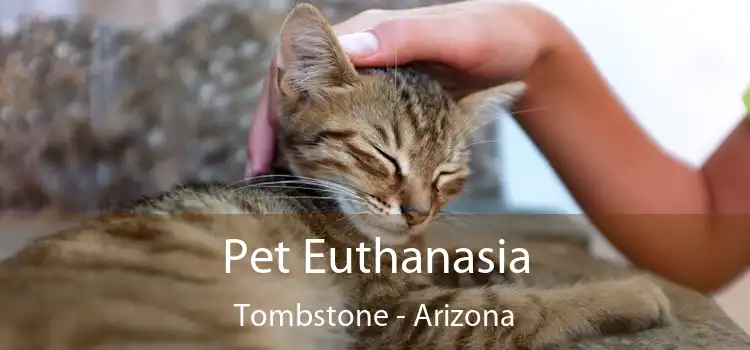 Pet Euthanasia Tombstone - Arizona