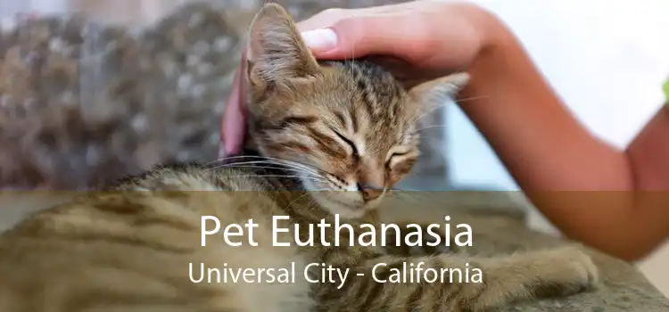 Pet Euthanasia Universal City - California