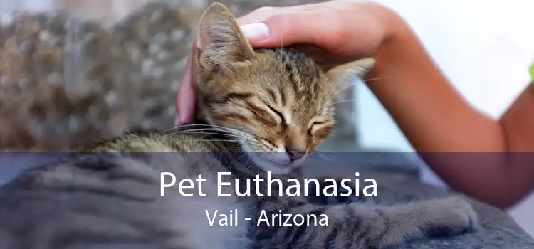 Pet Euthanasia Vail - Arizona