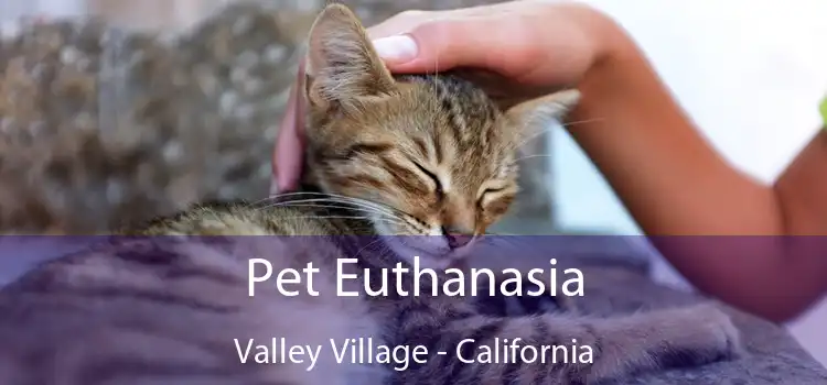 Pet Euthanasia Valley Village - California