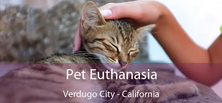 Pet Euthanasia Verdugo City - California