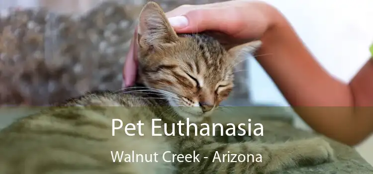 Pet Euthanasia Walnut Creek - Arizona