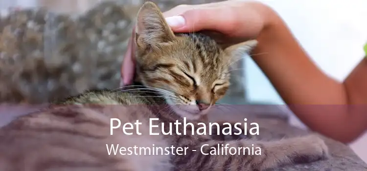 Pet Euthanasia Westminster - California