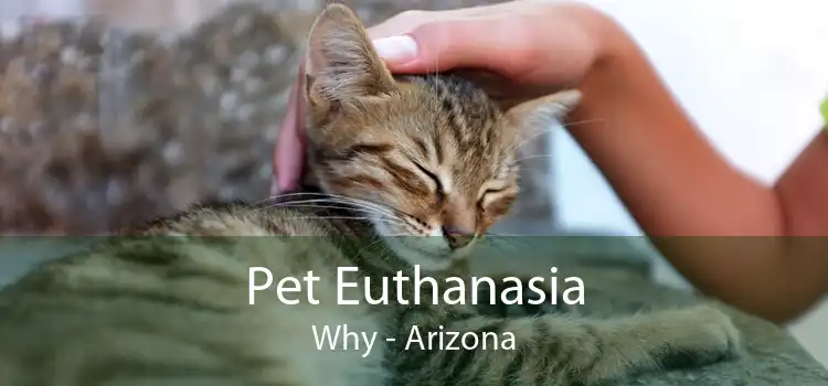 Pet Euthanasia Why - Arizona
