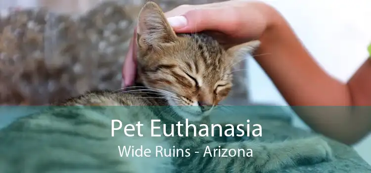 Pet Euthanasia Wide Ruins - Arizona