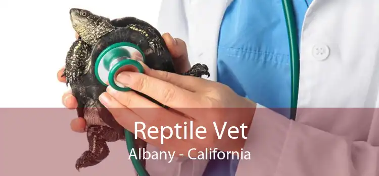 Reptile Vet Albany - California