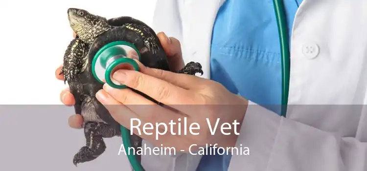 Reptile Vet Anaheim - California