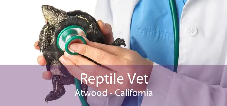 Reptile Vet Atwood - California