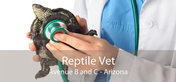 Reptile Vet Avenue B and C - Arizona