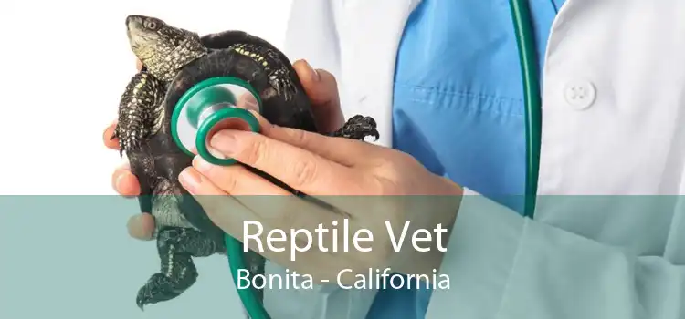Reptile Vet Bonita - California