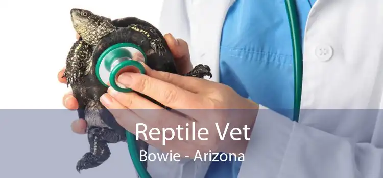 Reptile Vet Bowie - Arizona