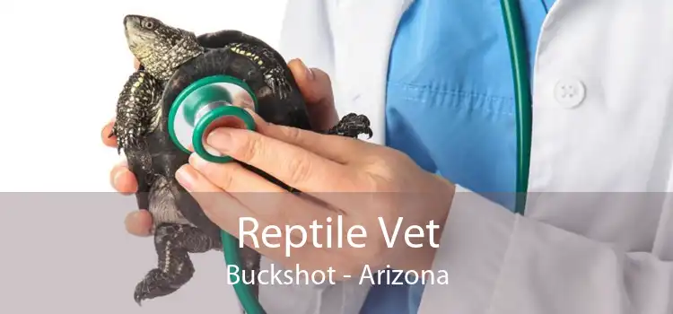 Reptile Vet Buckshot - Arizona