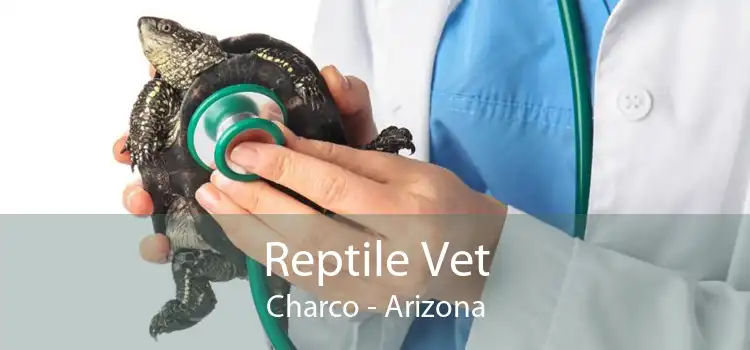 Reptile Vet Charco - Arizona
