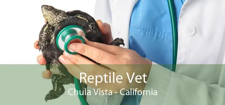 Reptile Vet Chula Vista - California