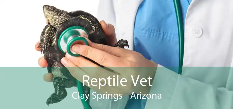 Reptile Vet Clay Springs - Arizona