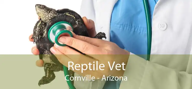 Reptile Vet Cornville - Arizona