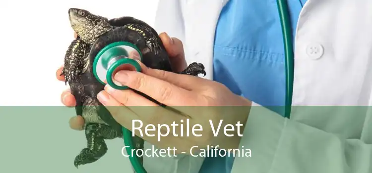 Reptile Vet Crockett - California