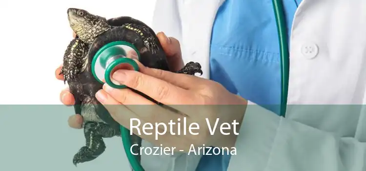 Reptile Vet Crozier - Arizona