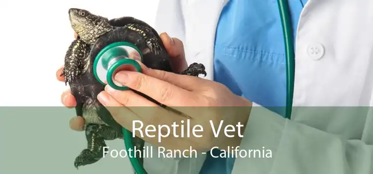 Reptile Vet Foothill Ranch - California